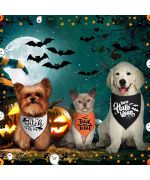 disfraz de halloween para gato