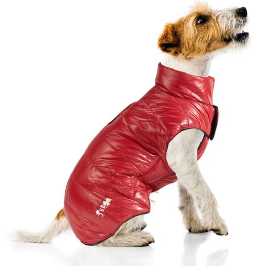 abrigo de piel de perro rojo
