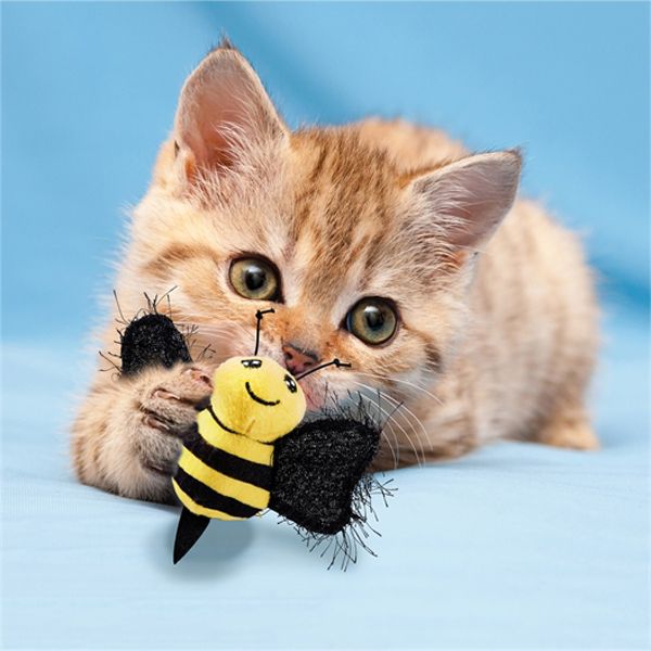 Jouet pour chat Kong - Jouets Pour Chats Kong