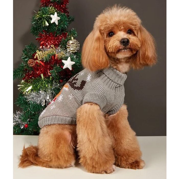 suéter cálido para perro pequeño