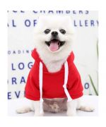 red dog sweater shop for chihuahua mouth of love