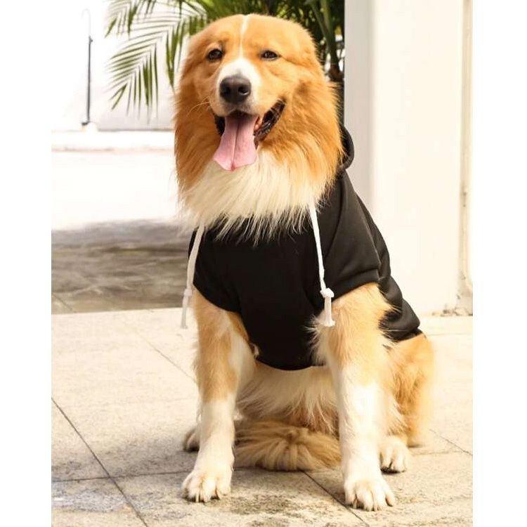 classic cheap black dog sweater puppy gift shop for chihuahua pug bulldog spitz labrador puppy