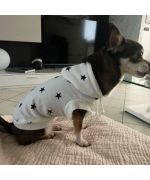 sweater for chihuahua