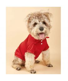 Dog polo shirt - red