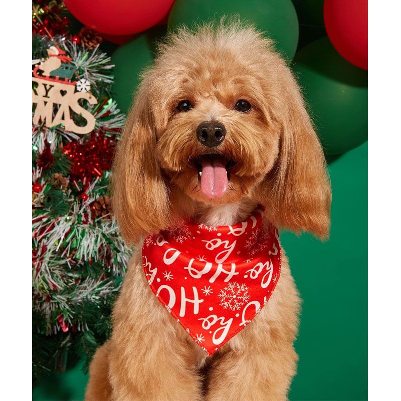 pañuelo navideño para perros