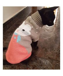 Sweater for dog and cat with turtleneck - Little Rabbit
