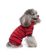 ropa marinera para perros pequeños