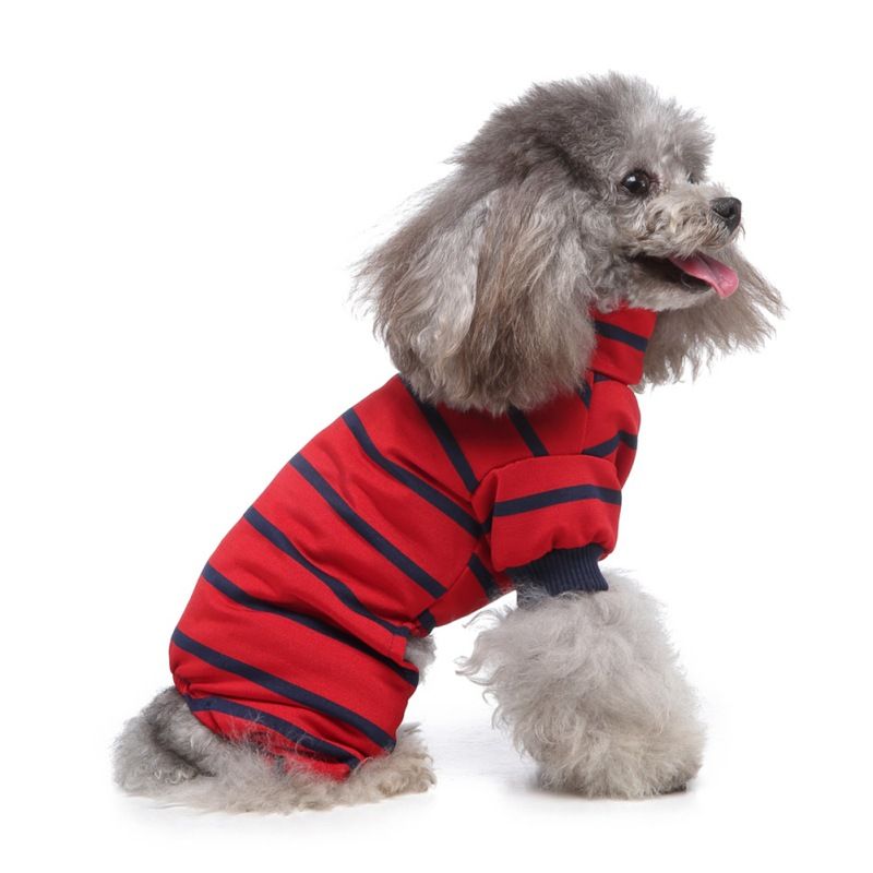 ropa marinera para perros pequeños