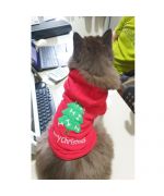 cute little chihuahua wearing Christmas sweater size M red with Christmas tree hood