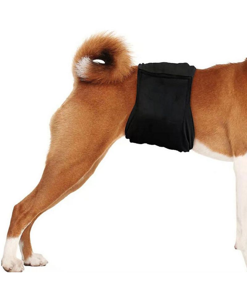 Leerking Couches pour Chiens Male Lot de 3 Bandeau Anti-Pipi Réutilisables  Très Absorbantes pour Chiens Incontinent de Petite Moyenne et Grande Taille  M : : Animalerie