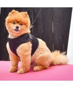 harness t-shirt for dog pink