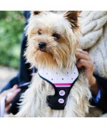 dog harness jacket