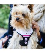 harness for female yorkshire