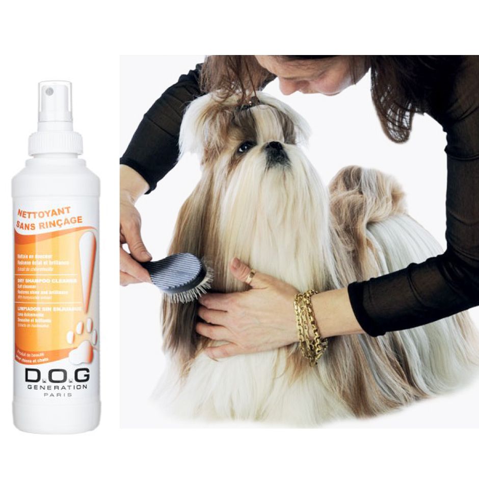 shampoo dry dog cleaning without rinsing made in France pet dog cat