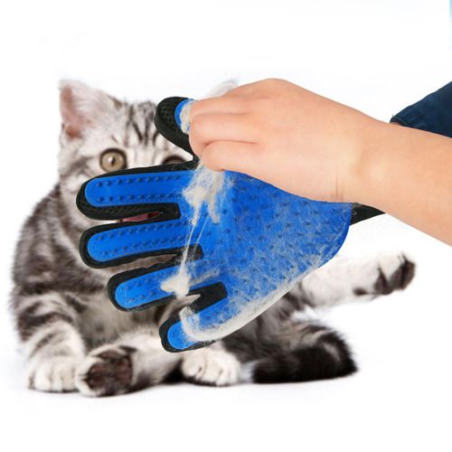 brosse pour chat