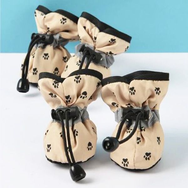 chaussure pour animaux