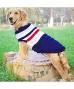 suéter de perro grande