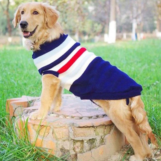 large dog sweater