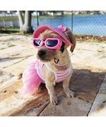 Sunglasses for small dog boutique Maw Love