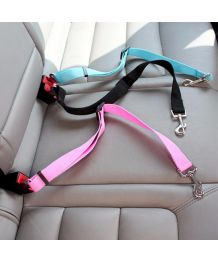 Ceinture de sécurité pour chien et chat