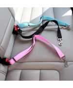 ceinture pour chien en voiture