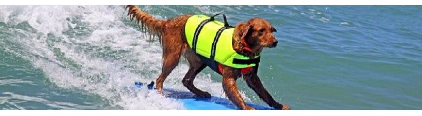 Dog life jackets