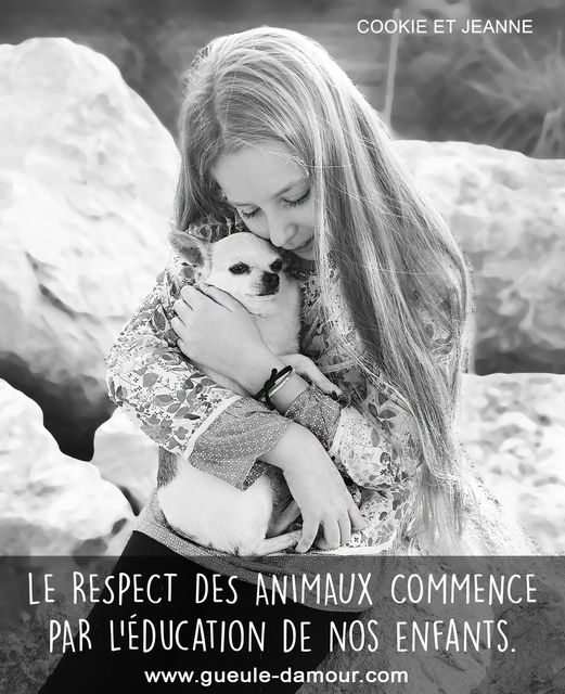 Le respect des animaux commence par l'éducation de nos enfants