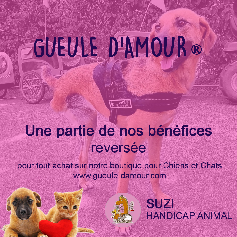 Suzi Handicap Animal Association