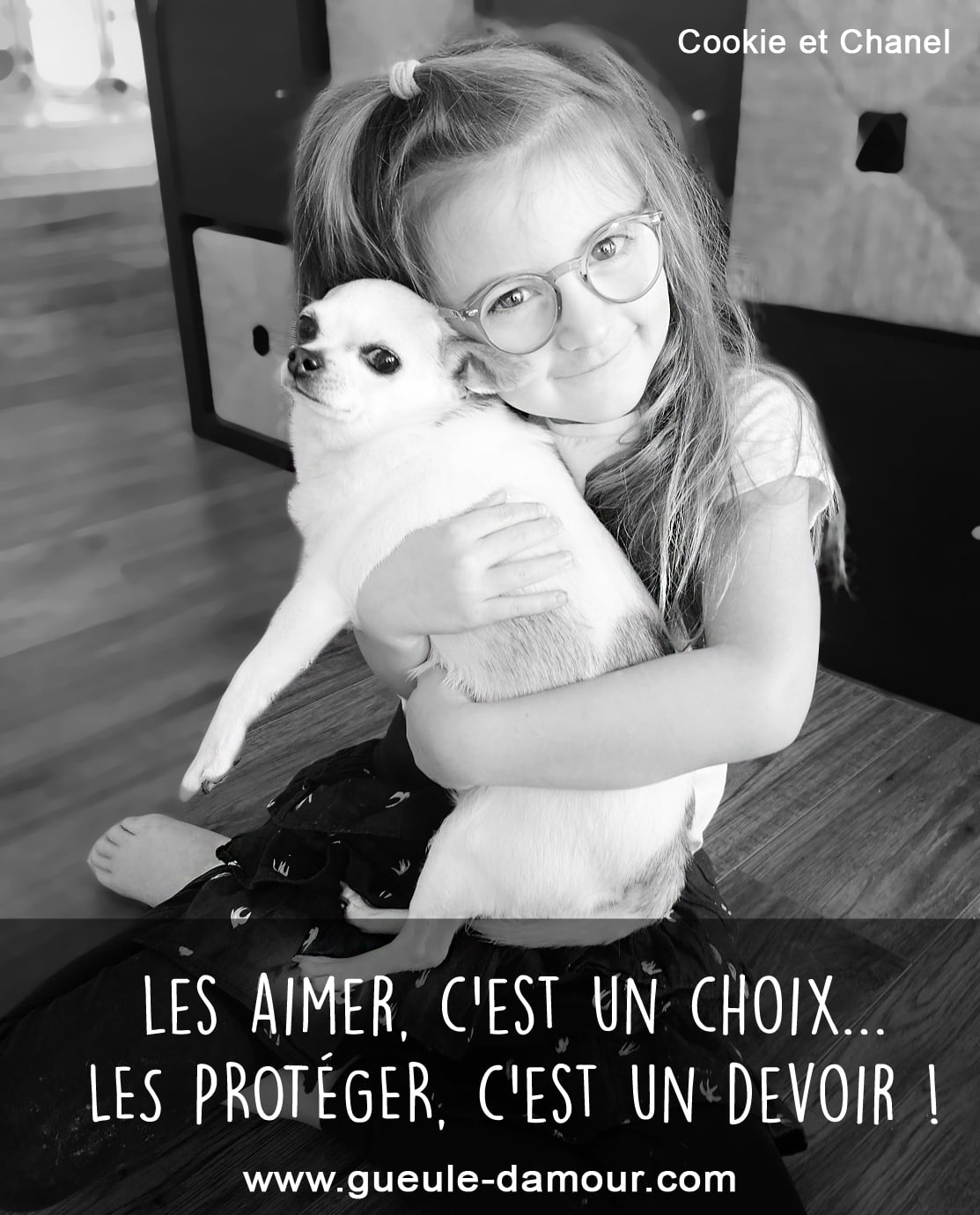 Les Aimer, c'est un choix... Les protéger, c'est un devoir.