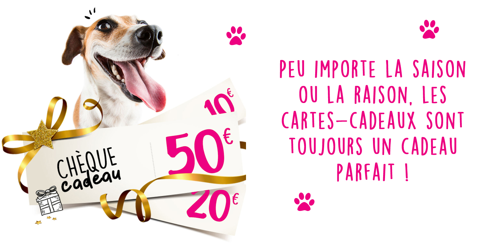 carte cadeau boutique pour chien