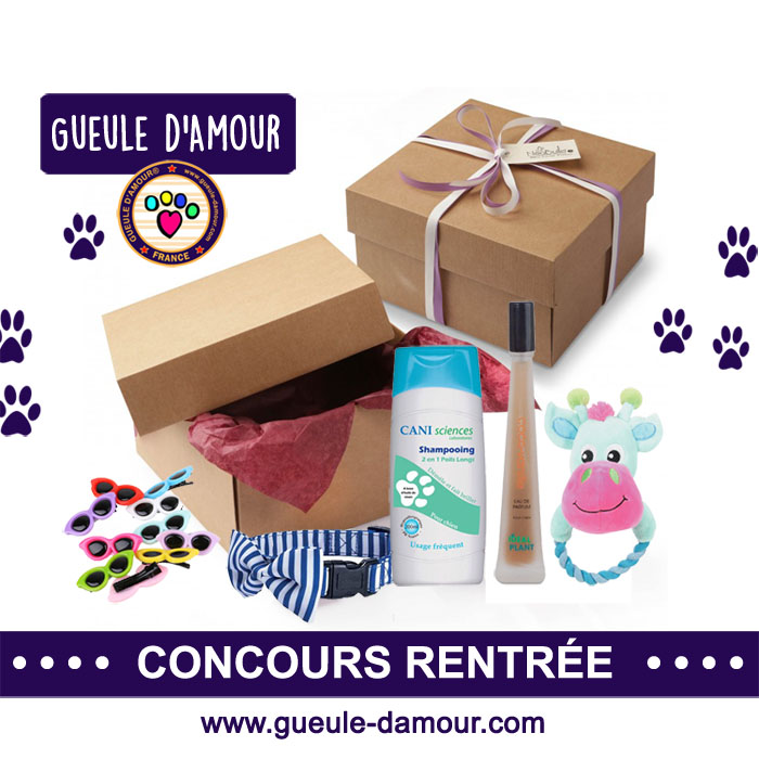 concours Gueule d'Amour