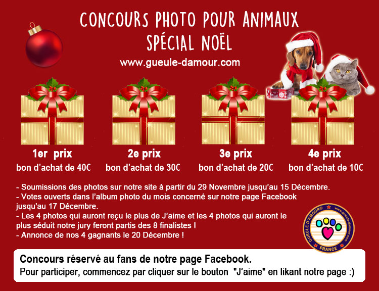 Concours photo pour animaux