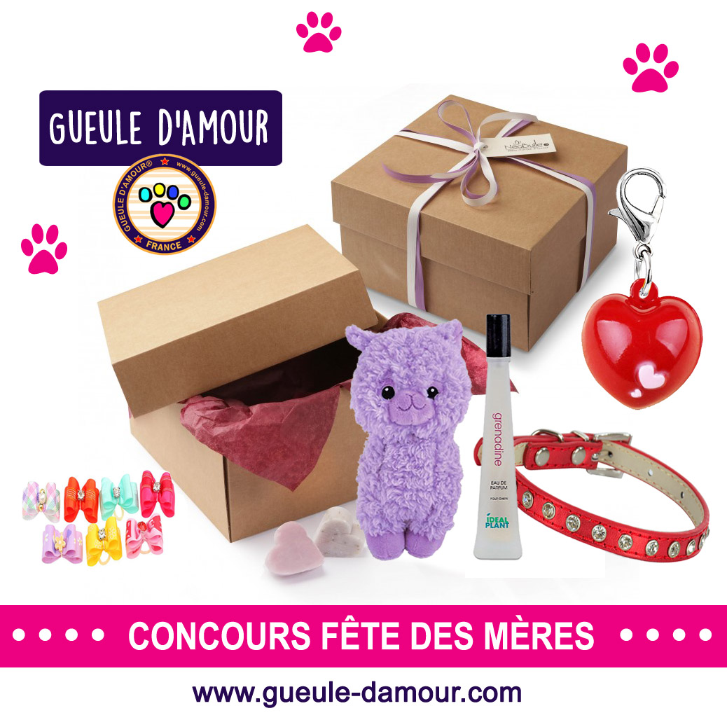 Win gifts for your dog or cat!