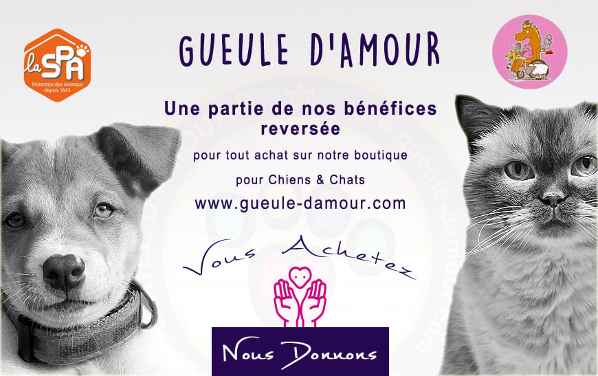 Compromiso Gueule d'Amour boutique para perros de lujo