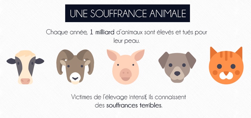 les raisons de ne pas acheter du cuir souffrance animale