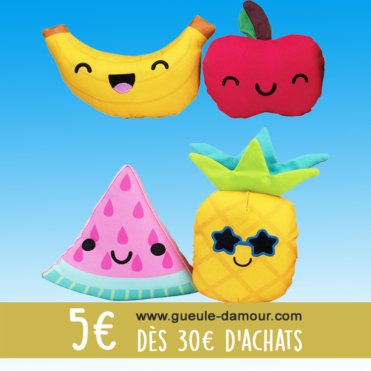 Cadeau offert pour chien et chat