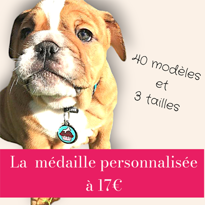 medaille pour animaux personnalisees