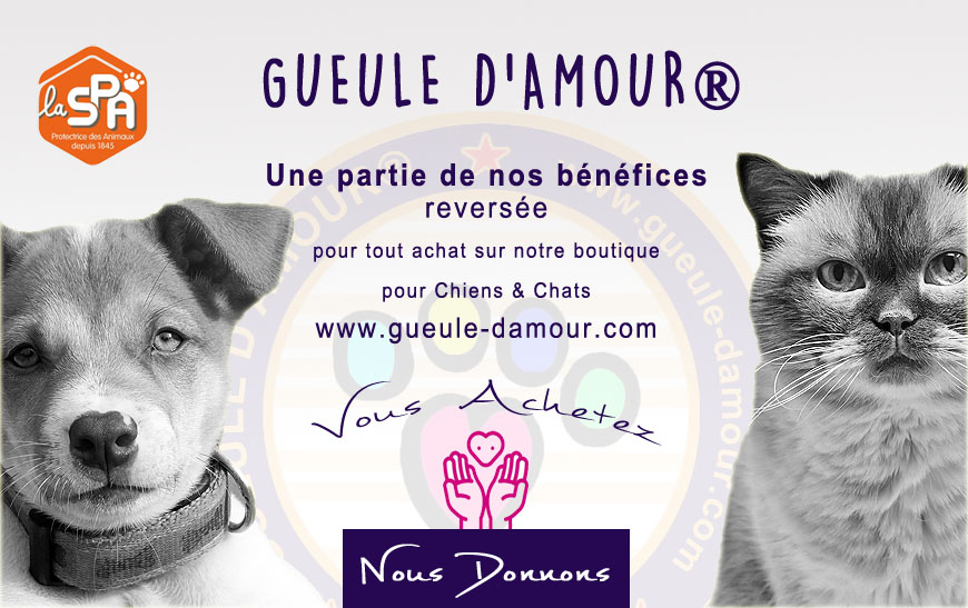 Gueule d'Amour donates part of its sales to the SPA