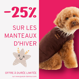 -25% sur tous les manteaux pour chiens