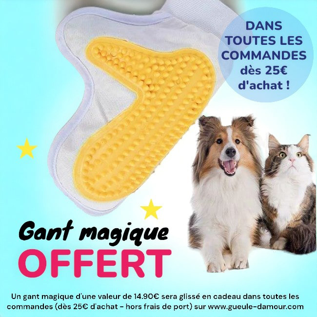  Gant Magique offert !