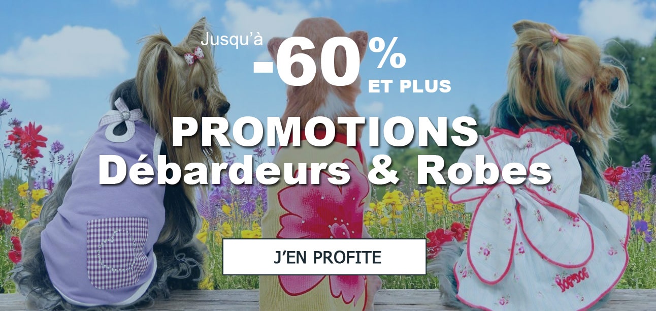 OFFRE SPECIALE