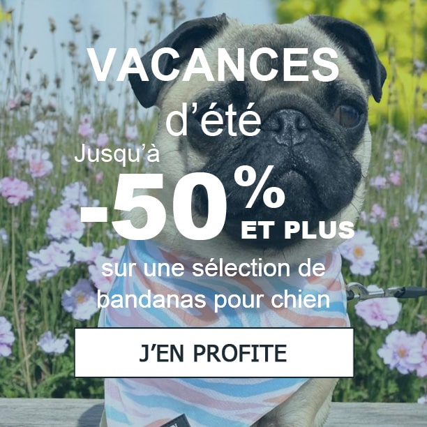 Foulards pour chiens en promotion