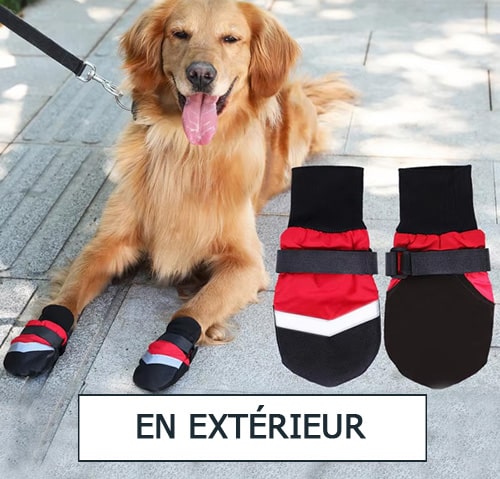 En extérieur