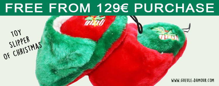 chausson_de_noel_en_cadeau_anglais.jpg