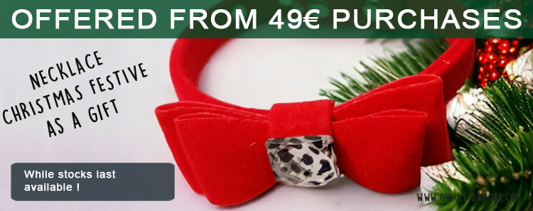 collier_festif_de_noel_pour_chien.jpg