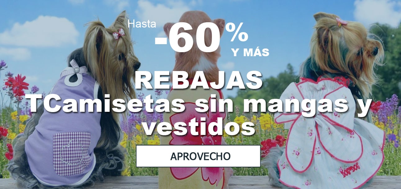 OFFRE SPECIALE