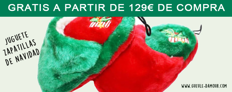 chausson_de_noel_en_cadeau_espagnol.jpg