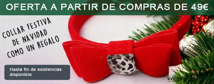 collier_festif_de_noel_pour_chien.jpg