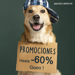 Promociones para perros