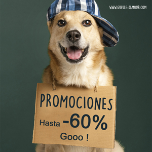 Promociones para miscotas